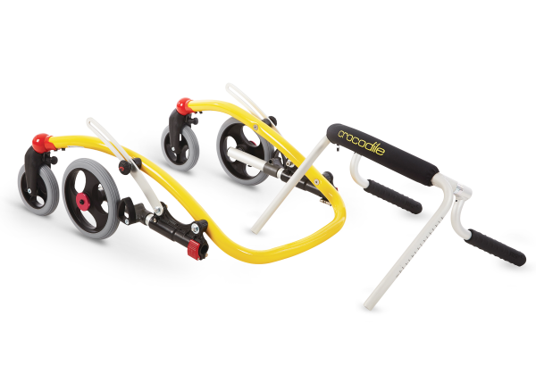 姿勢控制型助步車