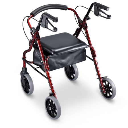 4206 經典款助步車